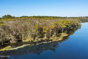 3199 Pate Pond Rd, Vernon, FL 32462 - Photo 1