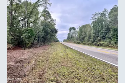 3199 Pate Pond Road, Vernon, FL 32462 - Photo 33