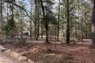 5270 Choctaw Rd, Vernon, FL 32462 - Photo 25