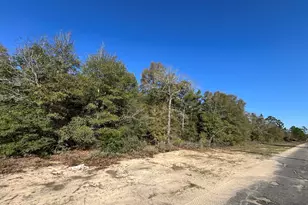 Lot 5 Viking Dr, Chipley, FL 32428 - Photo 1