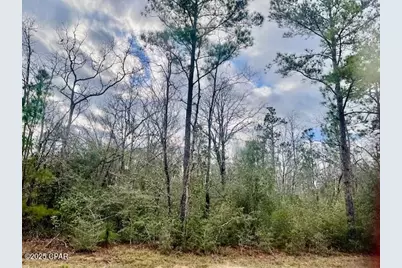 Lot 9 Red Road, Marianna, FL 32448 - Photo 1