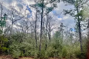 Lot 9 Red Rd, Marianna, FL 32448 - Photo 1