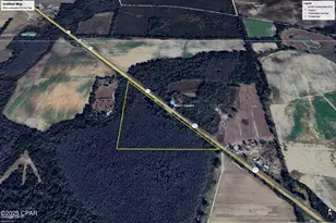 000 Sr-71, Malone, FL 32445 - Photo 1