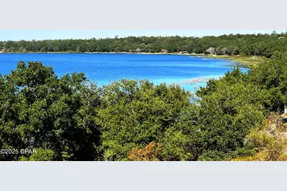 4427 Leisure Lakes Drive, Chipley, FL 32428 - Photo 9