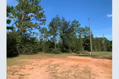 0 Drury Lane, Alford, FL 32420 - Photo 9