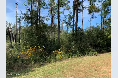 0 Drury Lane, Alford, FL 32420 - Photo 7