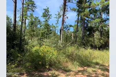 0 Drury Lane, Alford, FL 32420 - Photo 5