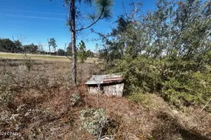 00 NW County Rd 274, Altha, FL 32421 - Photo 13