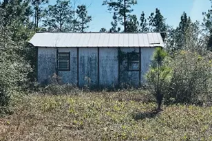 00 NW County Rd 274, Altha, FL 32421 - Photo 1
