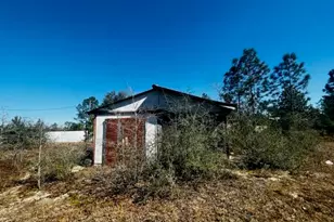 00 NW County Rd 274, Altha, FL 32421 - Photo 11