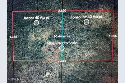 0 NW Camp Head Road, Altha, FL 32421 - Photo 1