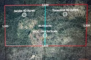 0 NW Camp Head Rd, Altha, FL 32421 - Photo 1