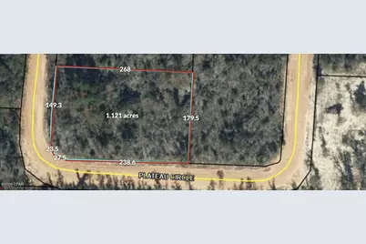 00 Plateau Circle, Alford, FL 32420 - Photo 1