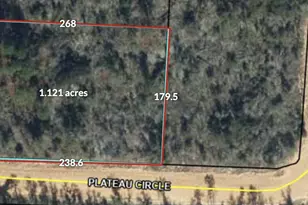 00 Plateau Circle, Alford, FL 32420 - Photo 1