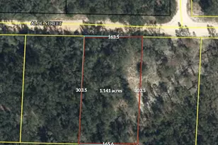 00 Aloe St, Marianna, FL 32448 - Photo 1
