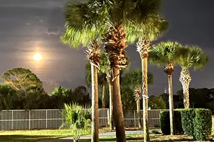 9860 S Thomas Dr, Panama City, FL 32408 - Photo 45