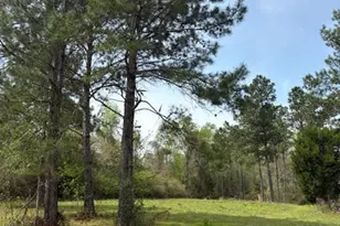 5495 Hwy 90, Marianna, FL 32446 - Photo 75