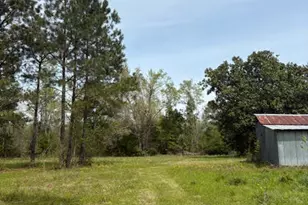 5495 Hwy 90, Marianna, FL 32446 - Photo 77