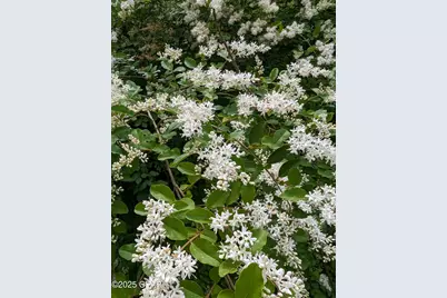 7031 Hamilton Road, Grand Ridge, FL 32442 - Photo 41