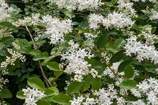 7031 Hamilton Rd, Grand Ridge, FL 32442 - Photo 41