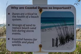 11807 Front Beach Rd, Panama City Beach, FL 32407 - Photo 35