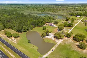 2242 Hwy 231, Cottondale, FL 32431 - Photo 19