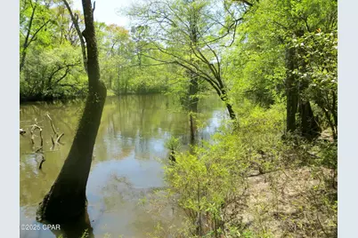 2839 Highway 79, Vernon, FL 32462 - Photo 5