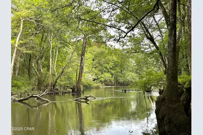 2839 Highway 79, Vernon, FL 32462 - Photo 7