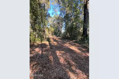 2839 Highway 79, Vernon, FL 32462 - Photo 9