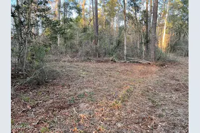 2839 Highway 79, Vernon, FL 32462 - Photo 13