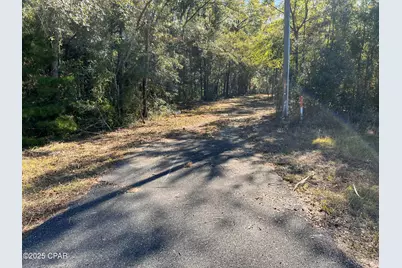 2839 Highway 79, Vernon, FL 32462 - Photo 17