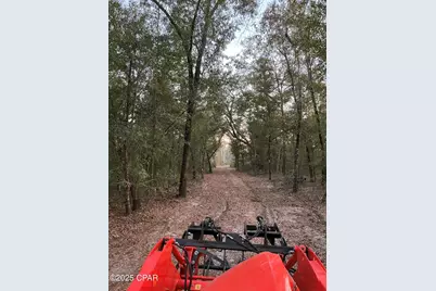 2839 Highway 79, Vernon, FL 32462 - Photo 11