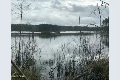 2711 Stallings Road, Chipley, FL 32428 - Photo 3