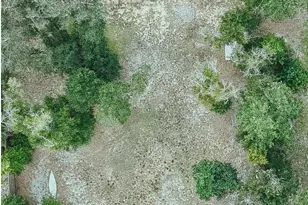 3034 Paradise Lakes Rd, Chipley, FL 32428 - Photo 47