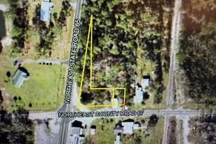 27134 NE Co Rd 67, Hosford, FL 32334 - Photo 1