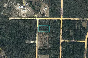 Lot 2 Wood Ave, Alford, FL 32420 - Photo 1