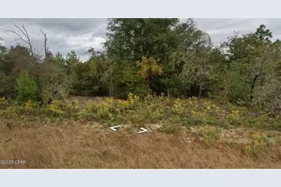 Lot 10 Pennington Drive, Chipley, FL 32428 - Photo 1