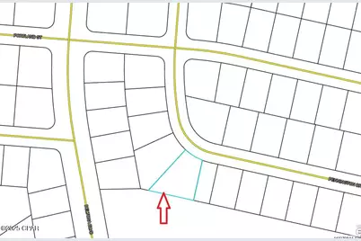 Lot 10 Pennington Drive, Chipley, FL 32428 - Photo 3