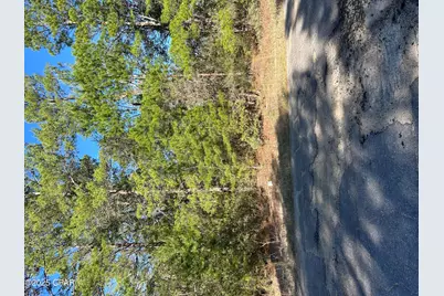 Lot 16 Pinehurst Avenue #Lot 1, Chipley, FL 32428 - Photo 3