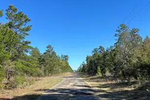 Lot 16 Pinehurst Ave, Chipley, FL 32428 - Photo 1