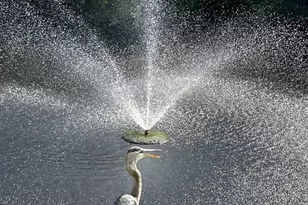 17462 Front Beach, Panama City Beach, FL 32413 - Photo 47