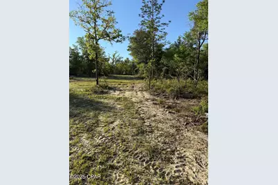 516 Goshun Creek Road, Chipley, FL 32428 - Photo 9