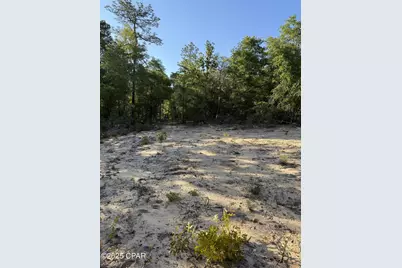 516 Goshun Creek Road, Chipley, FL 32428 - Photo 1