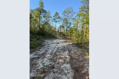 516 Goshun Creek Road, Chipley, FL 32428 - Photo 7