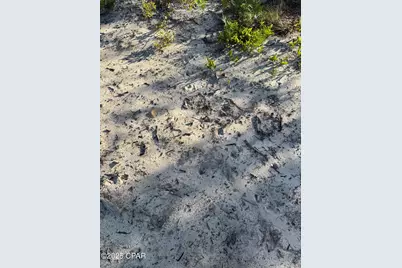 516 Goshun Creek Road, Chipley, FL 32428 - Photo 17