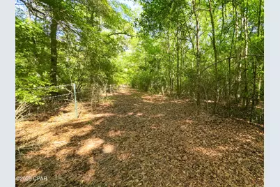 Tbd Nearing Hills Circle, Chipley, FL 32428 - Photo 7