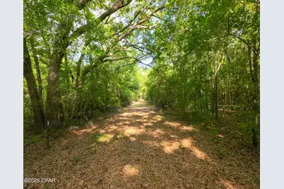 Tbd Nearing Hills Circle, Chipley, FL 32428 - Photo 11