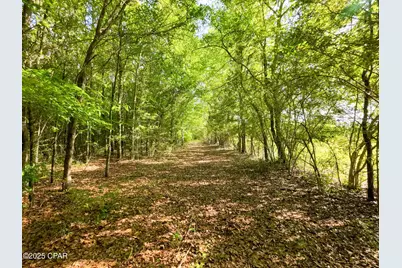 Tbd Nearing Hills Circle, Chipley, FL 32428 - Photo 9