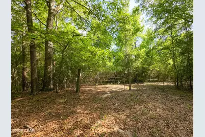 Tbd Nearing Hills Circle, Chipley, FL 32428 - Photo 5