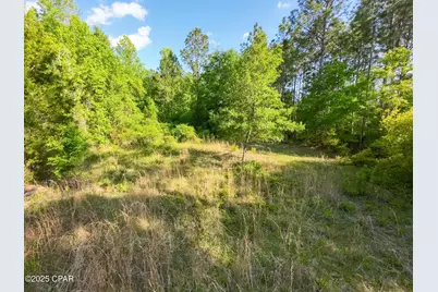 Tbd Nearing Hills Circle, Chipley, FL 32428 - Photo 15